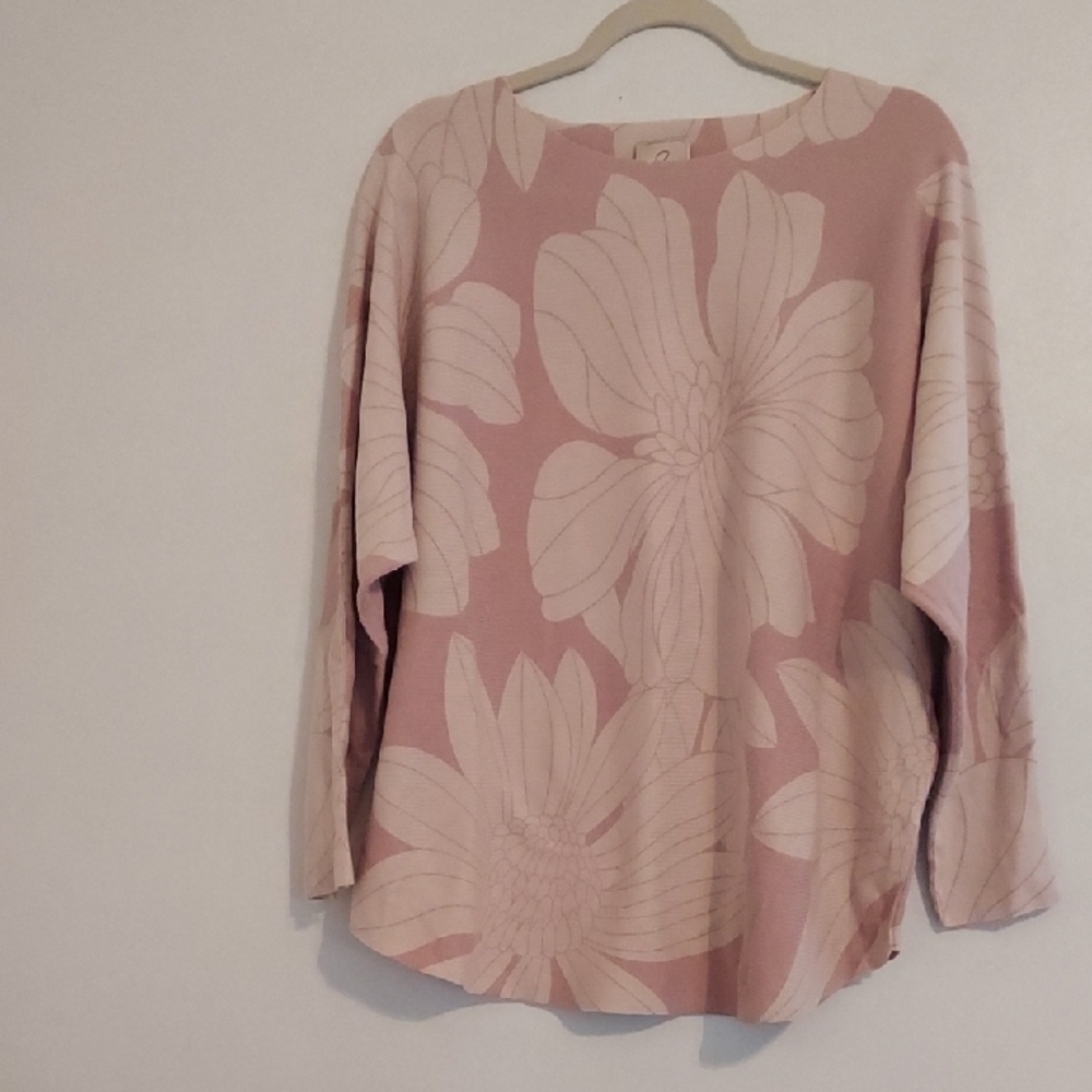 Sioni Tunic Sweater Size 1X